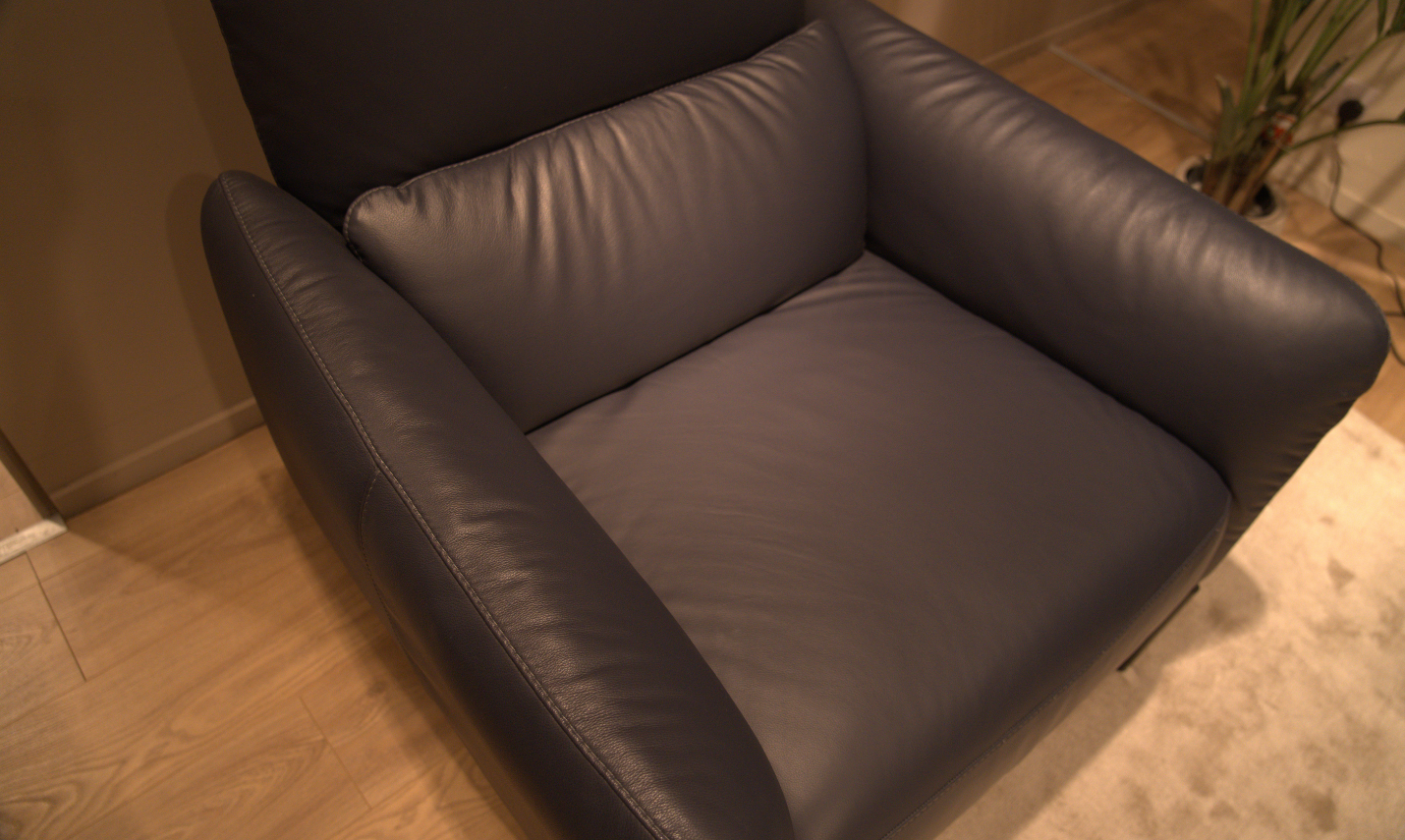 Natuzzi - C266 Static Chair